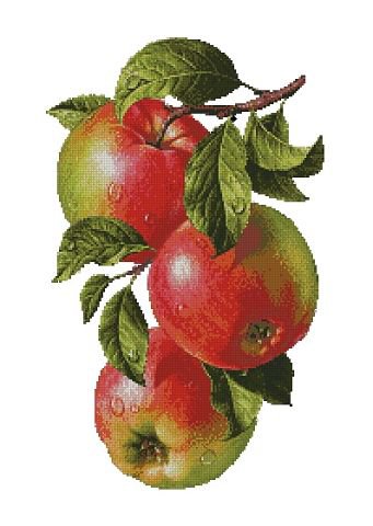 яблоки - оригинал