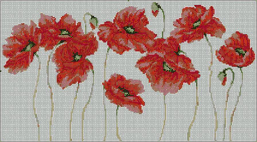 маки - маки - предпросмотр