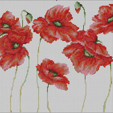 Схема вышивки «маки»
