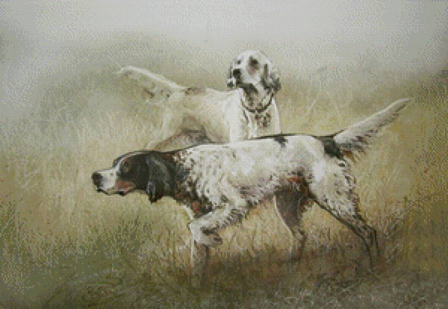 охотники - природа, собака - предпросмотр