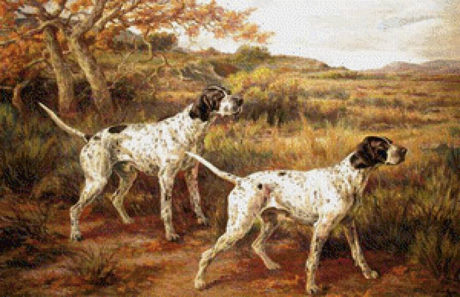 охотники - природа, легавые, собаки - предпросмотр