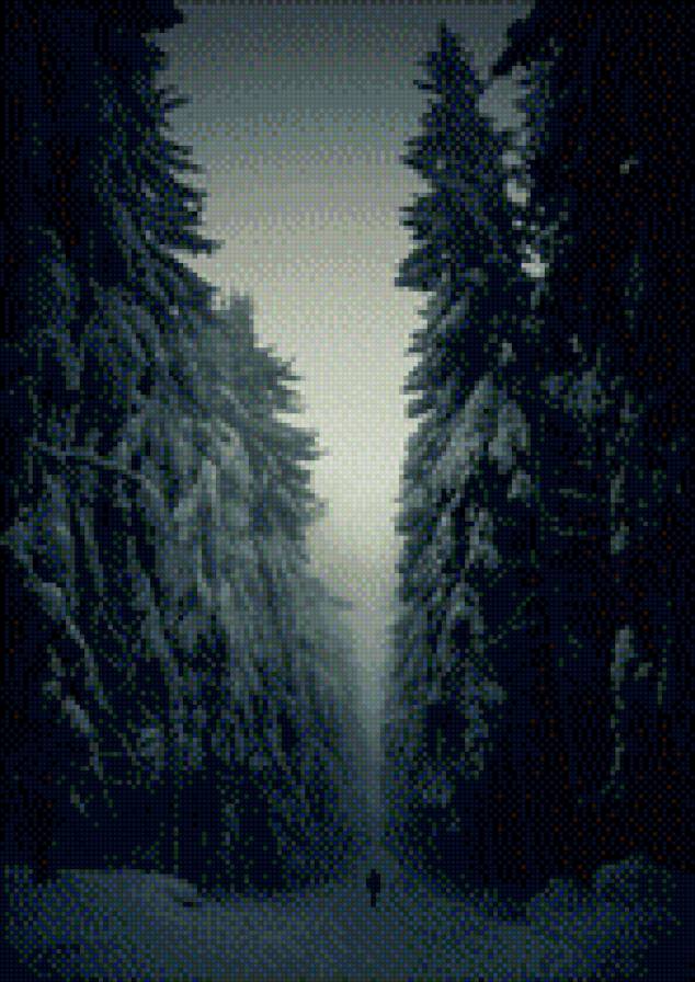 Одиночество может быть прекрасным - зима, прогулка, лес - предпросмотр