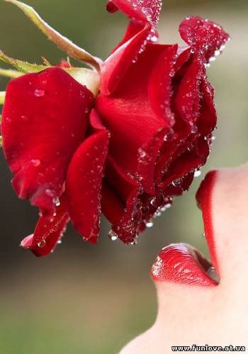 губы - оригинал