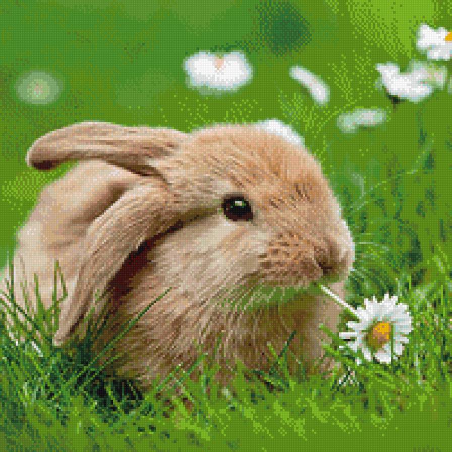 Зайка - животные - предпросмотр