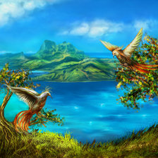 Схема вышивки «папуги»