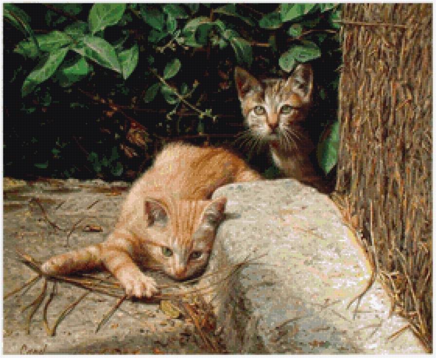 Котята - животные, котята - предпросмотр