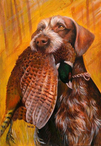 дратхаар охотник - охота, дичь, собаки - оригинал