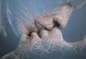 Он и Она - он и она - оригинал