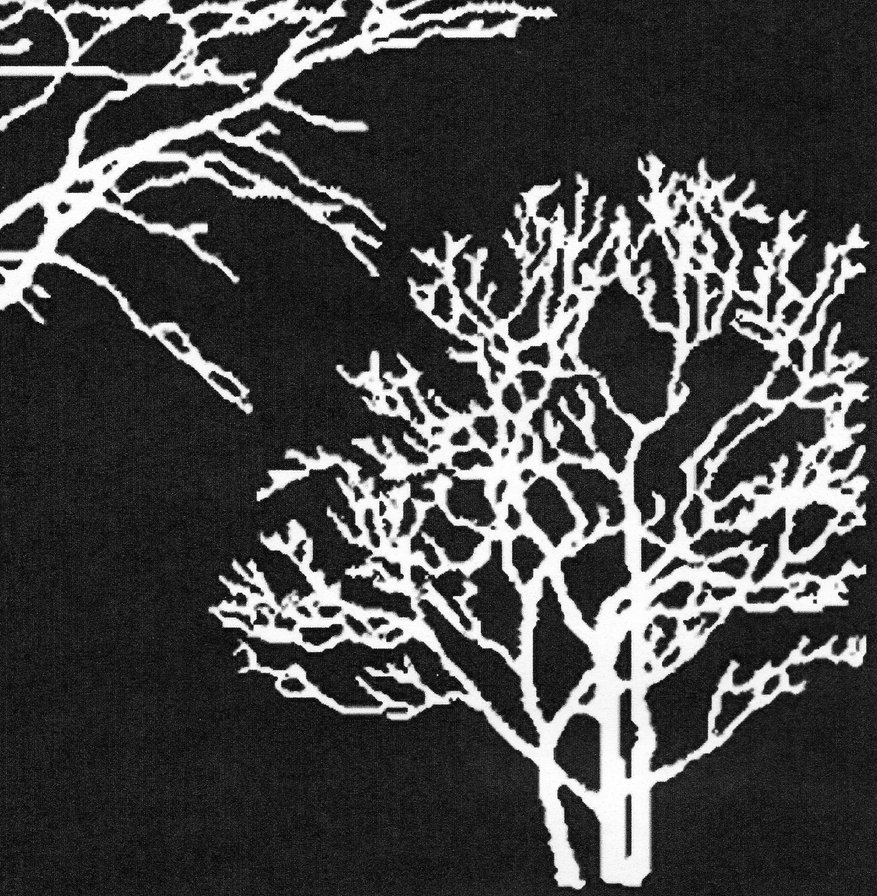 Триптих "Деревья" ч.3 - триптихи, природа - оригинал