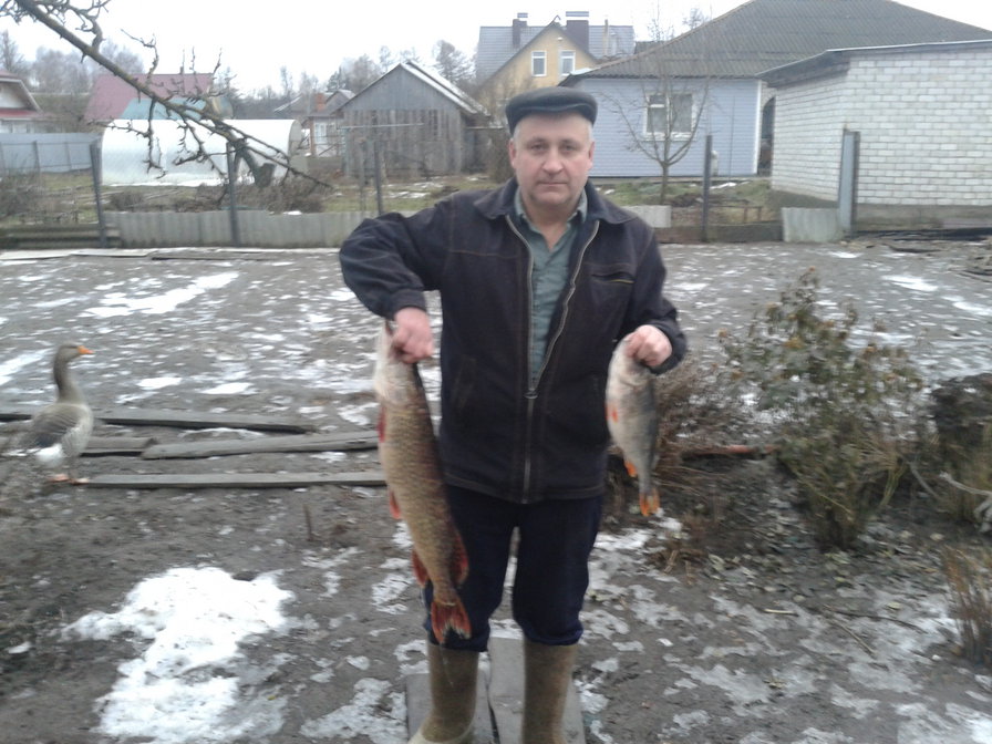 №847024 - оригинал