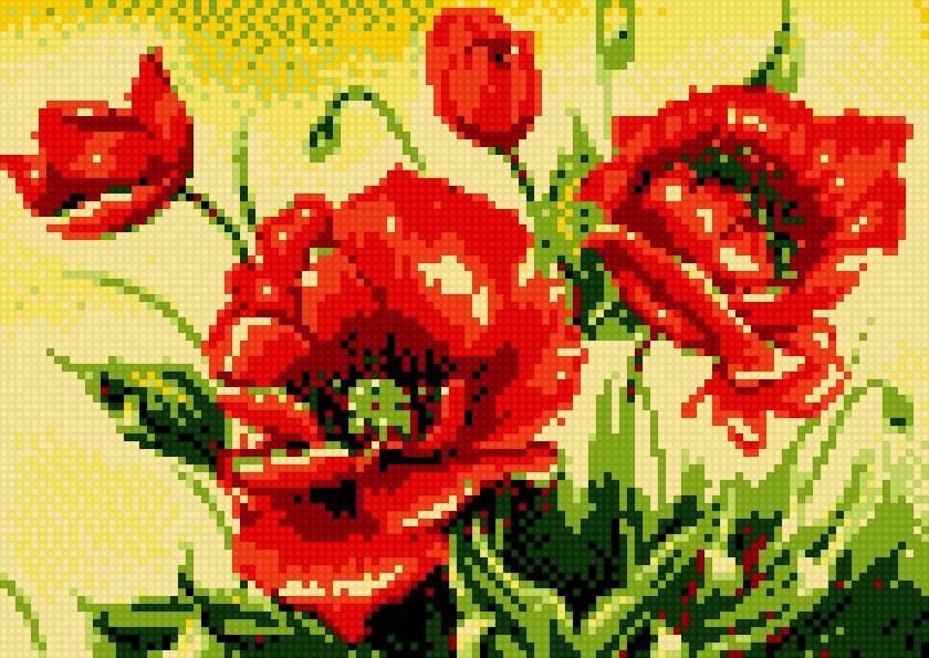 маки-6(дубль два) - маки - предпросмотр