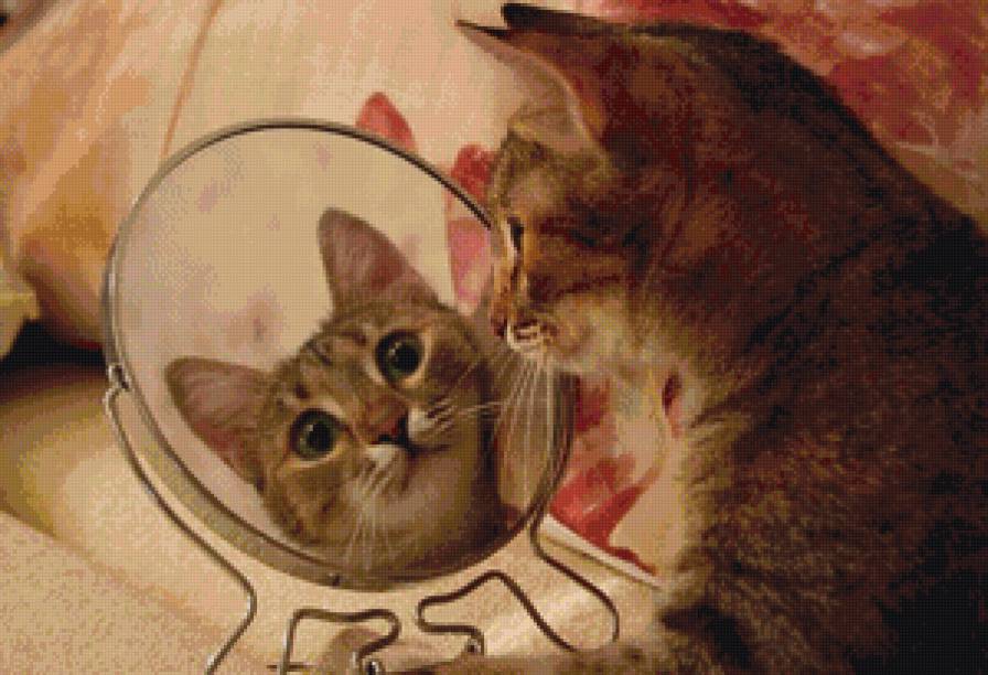 свет мой зеркальце скажи - кот, коты, котики - предпросмотр