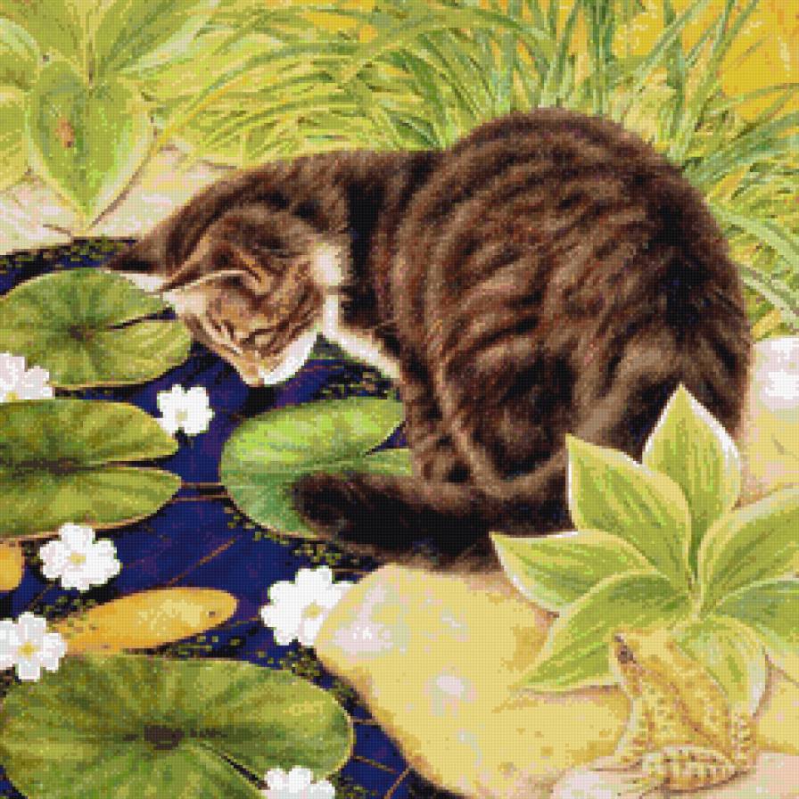 Кот - котенок, животные, кот - предпросмотр