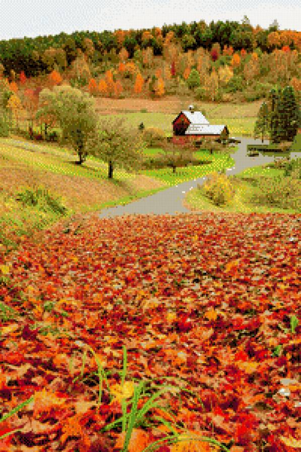 осінь - природа, дерева, ліс - предпросмотр