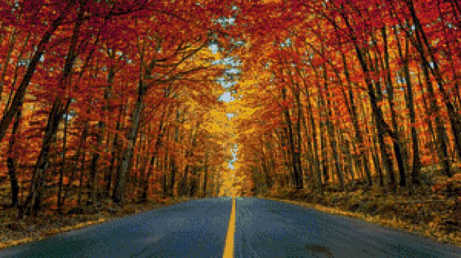 осінь - дорога, ліс, дерева - предпросмотр