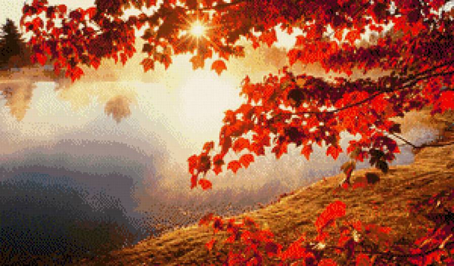 осінь - природа, ліс, дерева, вода - предпросмотр