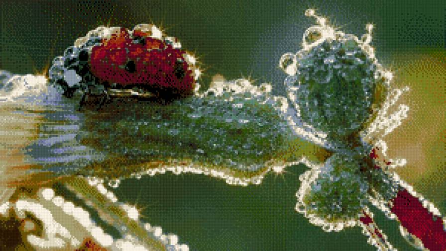 сонечко - літо, природа, тварини - предпросмотр