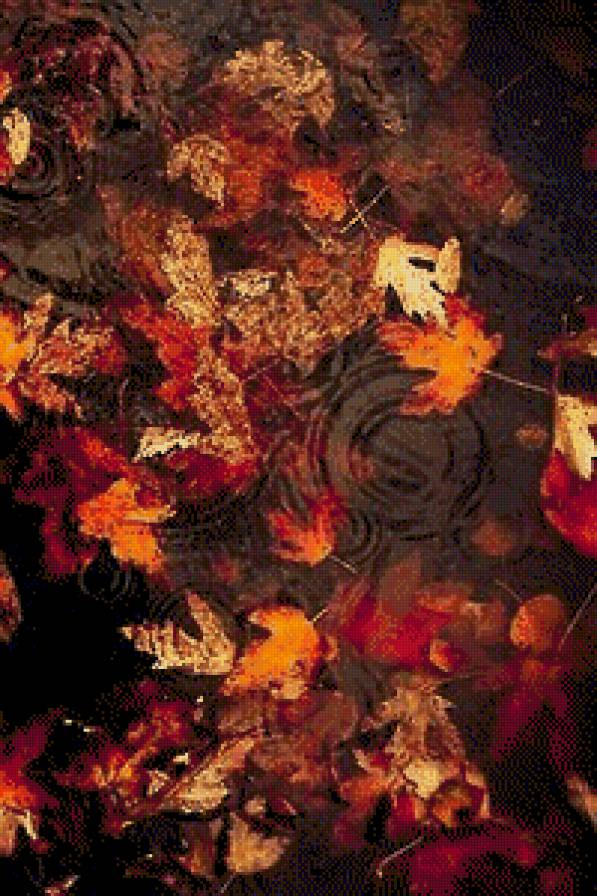 осінь - вода, природа, листя - предпросмотр