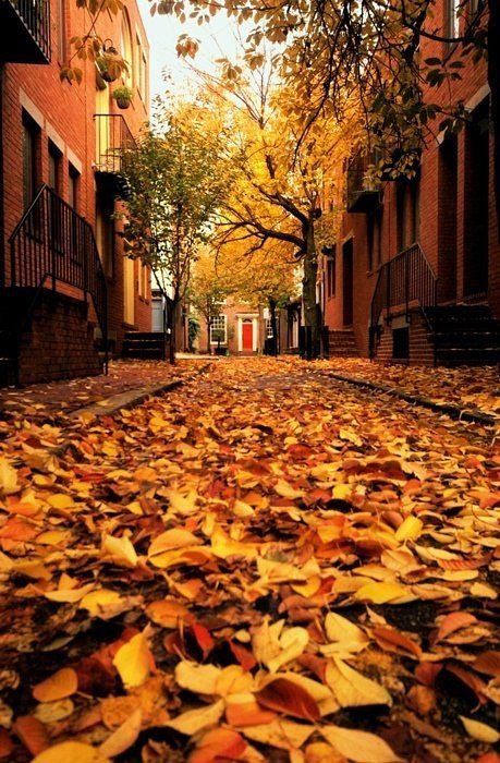 осінь - листя, місто, вулиця - оригинал