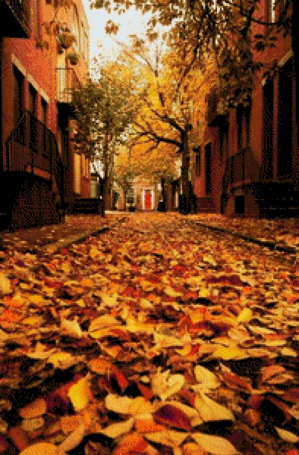 осінь - листя, місто, вулиця - предпросмотр