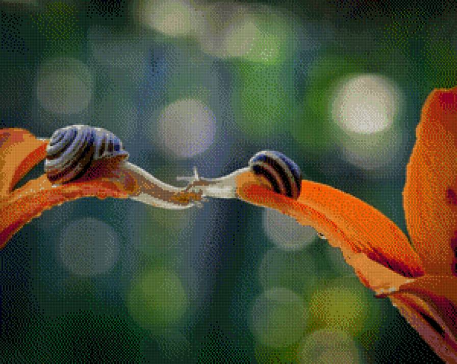 равлики - природа, тварини, літо - предпросмотр