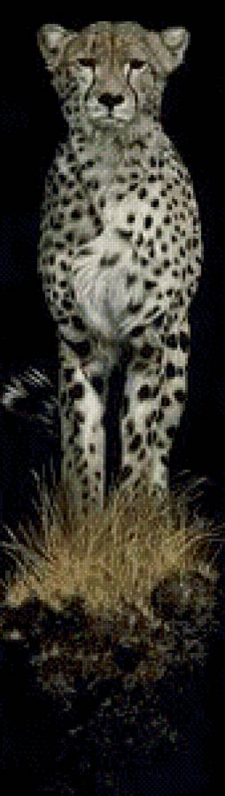 №847864 - предпросмотр