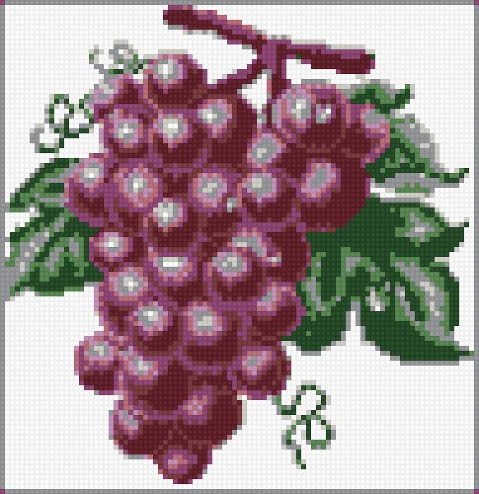 Виноград - листья, лоза, виноград - предпросмотр