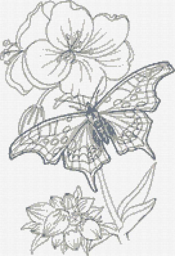 бабочка - природа, цветы, бабочка - предпросмотр