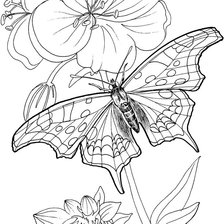 Оригинал схемы вышивки «бабочка» (№848236)