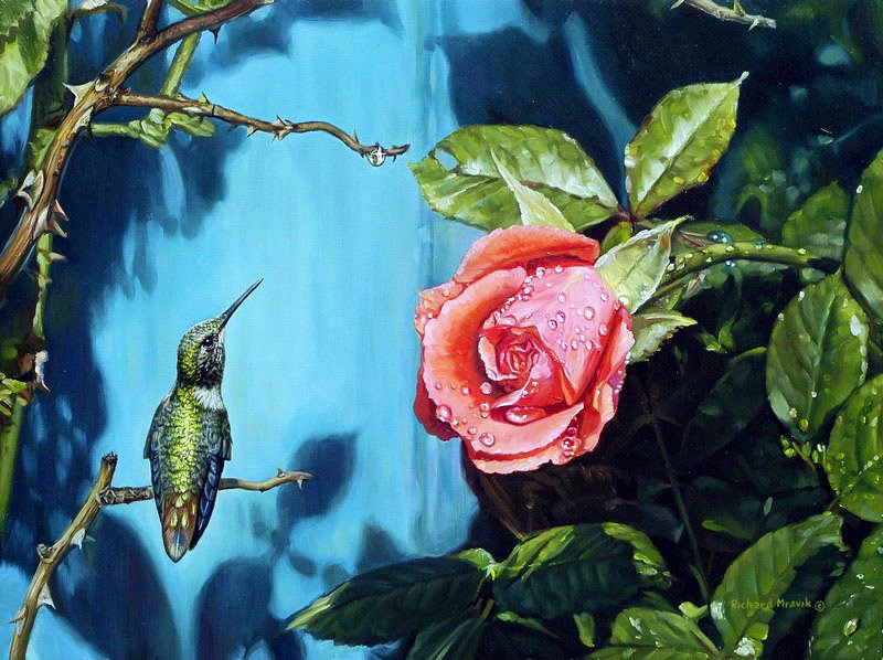 Колибри 1 - колибри, цветы, природа, птица, животные - оригинал