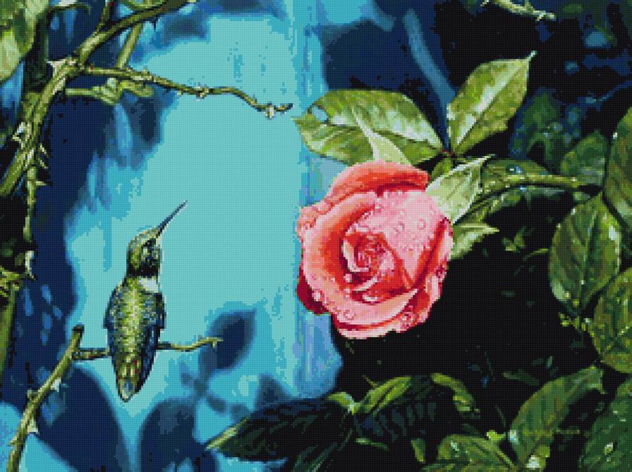 Колибри 1 - птица, природа, цветы, колибри, животные - предпросмотр