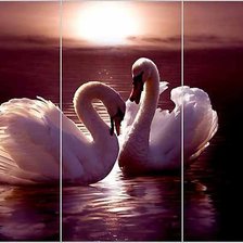 Схема вышивки «лебединая любовь»