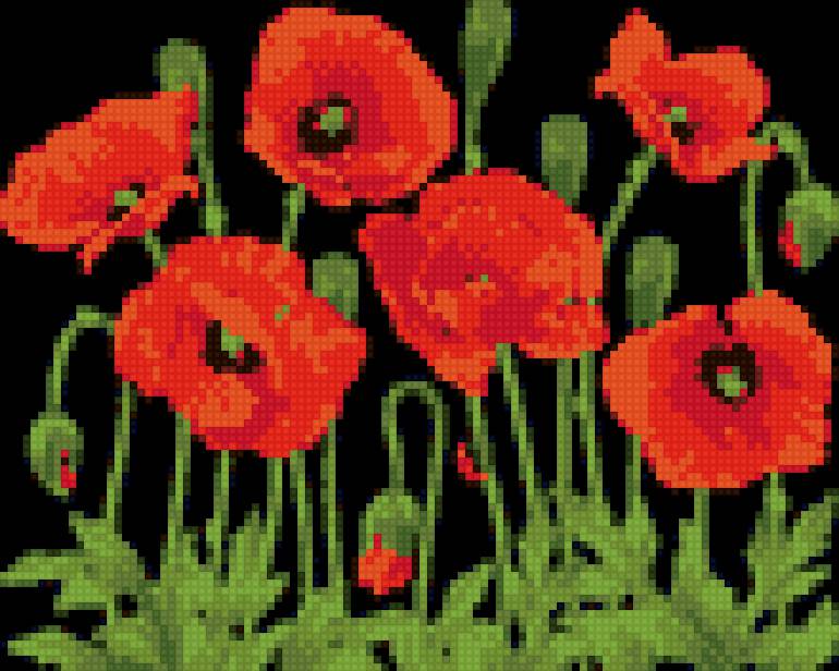 маки на черном - предпросмотр