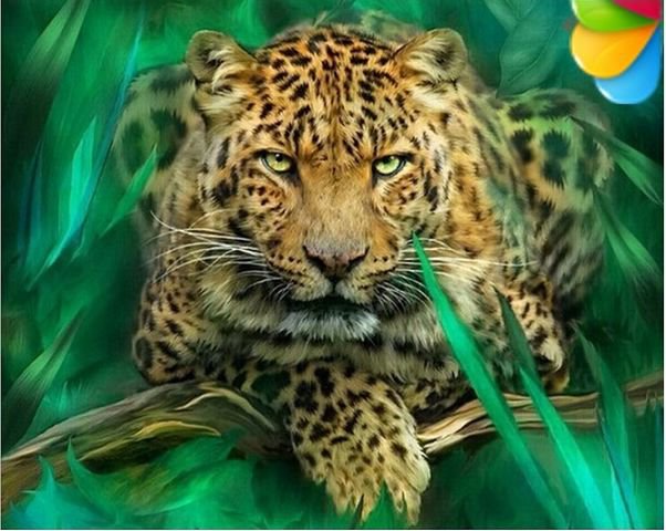 Леопард - леопард, живитные - оригинал