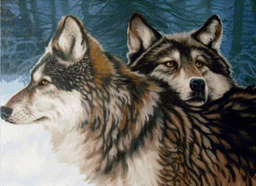 волчья пара - живитные, волки - предпросмотр