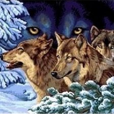 Схема вышивки «Волки»