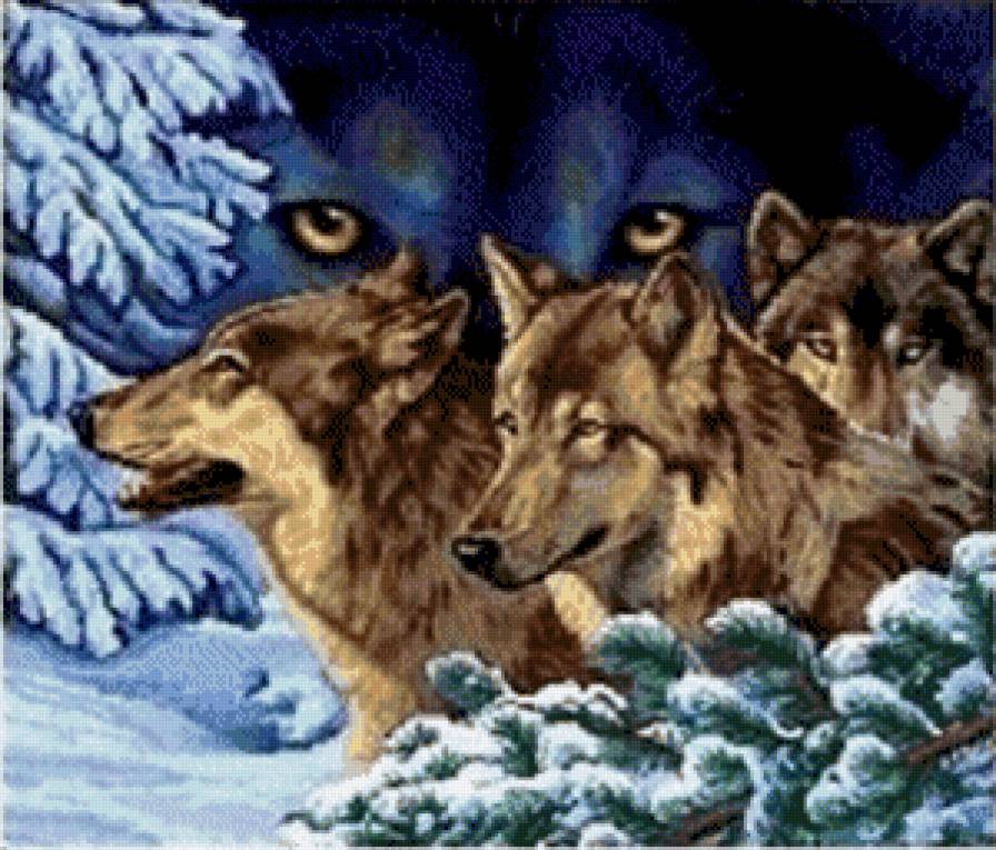 Волки - волки, лес, живитные, природа - предпросмотр
