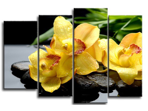 орхідеї - оригинал