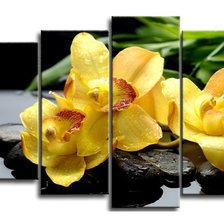 Схема вышивки «орхідеї»