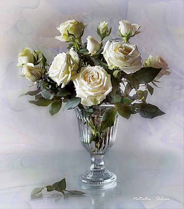 букет белых роз - оригинал