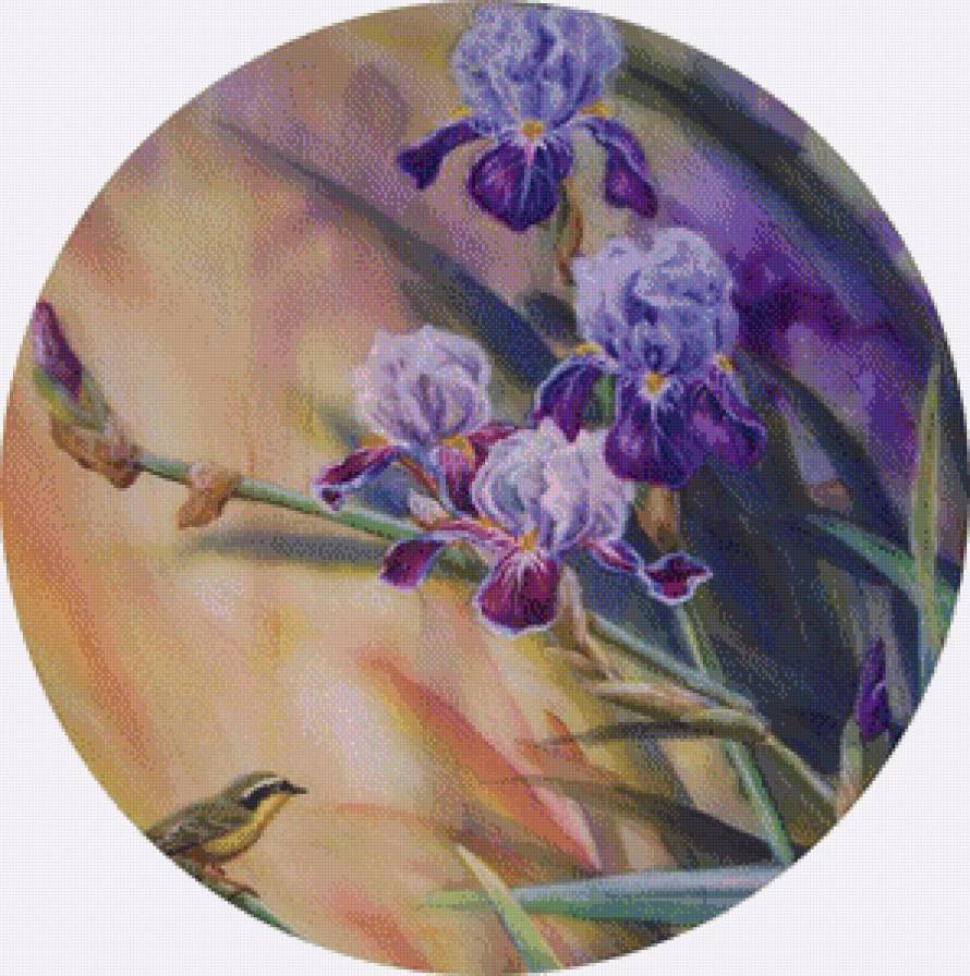 Ирисы и птици - предпросмотр