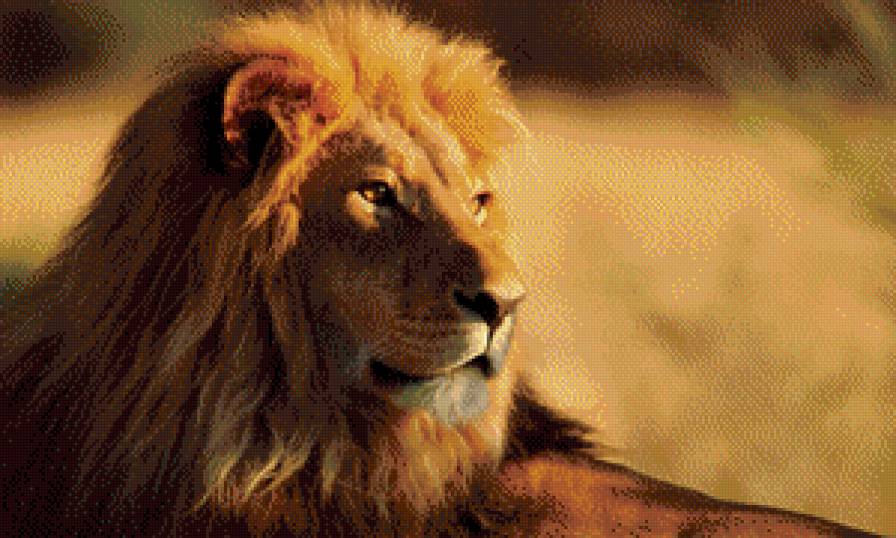 Лев - лев, животные, кошки - предпросмотр