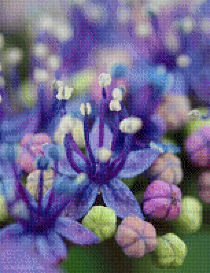 цветы - макрофото, весна, цветы - предпросмотр