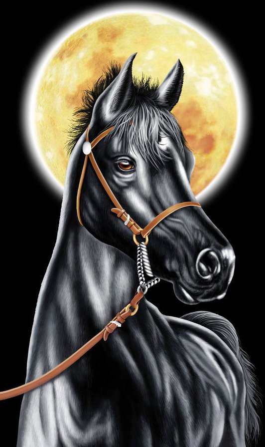 №849794 - лошади, животные - оригинал