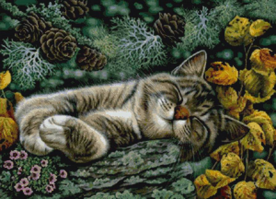 Кот спит - кот, природа, животные - предпросмотр