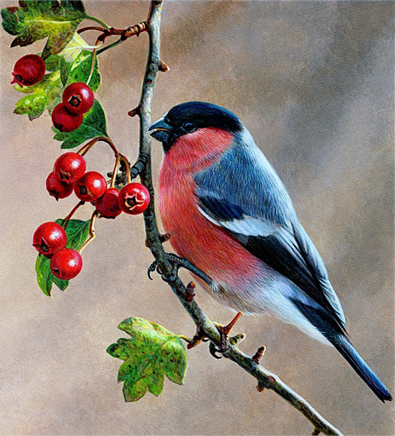 №849935 - оригинал