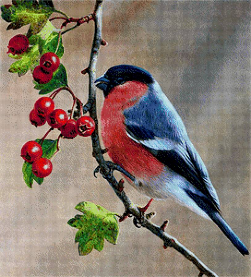 №849935 - предпросмотр