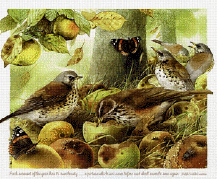 №849993 - предпросмотр