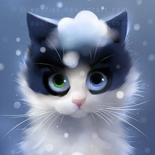кот со снежком
