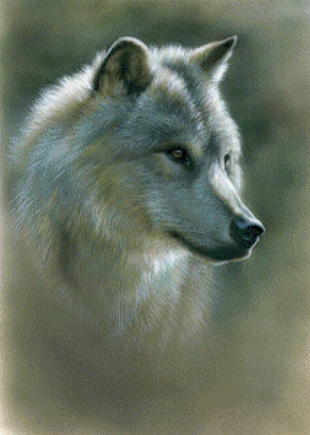 Волк - предпросмотр